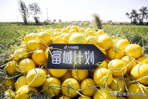 抖音网红韵儿吃瓜,揭秘娱乐圈幕后故事